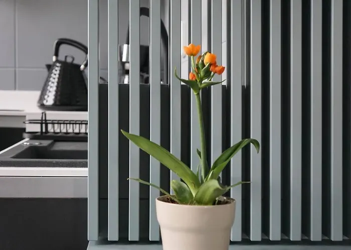 Pop Stylish - Center *